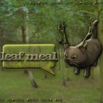 leaf meal Group Thumbnail