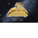 Doge wow!!!