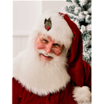 Santa's ONLY ELVES
