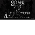 SOA.
