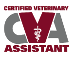 CVA Simulator