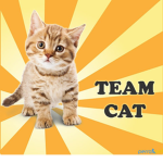 Team_cut_cat