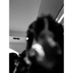 Under_dogs