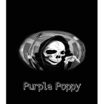 Purple Poppy