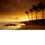 its_addiel fan group have a funtime stay wolfie