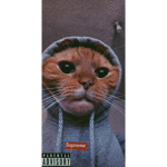 ThUg PluG