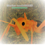 Ant working studios