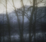 Secret Visions