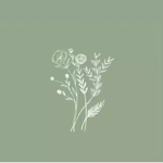 Butterfly lime clothing