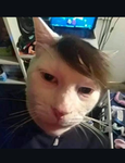 ROBLOX|GAMERS