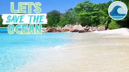 Lets Save The Ocean #TeamSeas