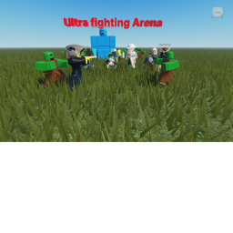 Ultra fighting Arena (UFA for short)