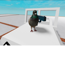 be a pigeon