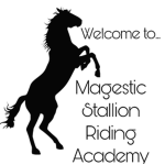 Majestic Stallion Riding Academy