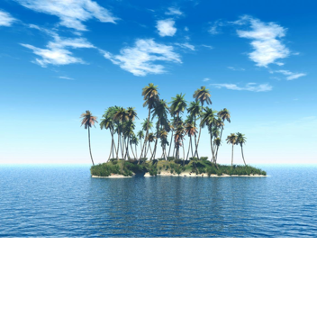 palm island 🌴