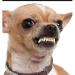 Būmsz