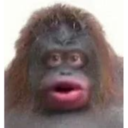 MONKEEEEEEEEEEEEEEE