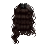 Long Curly Brown Hair