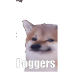 Dog is pog