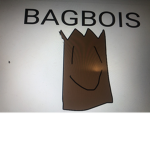 Bagbois