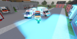manheim rp