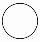 The Spiky Circle Community