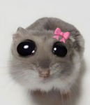Serenity Spring Roleplays