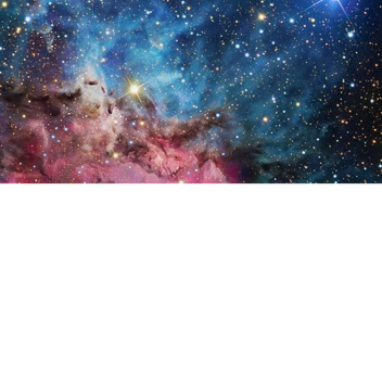 House Wynch - Battlegrounds