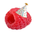 [2 MORE STAGES] raspberry