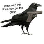 Raven?