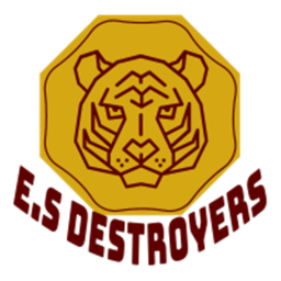 E.S destruction battle grounds