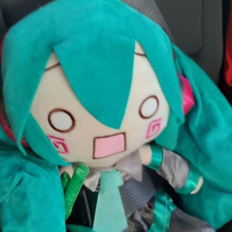 *:･ﾟ✧*:･ﾟ✧