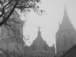 catcathedral