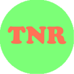 [NFR] Nook Family Residence