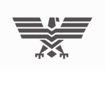 Private Policing
