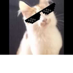 MLG Mace