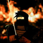 [TS] Tokugawa shogunate