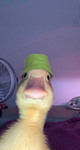 Levert on YouTube