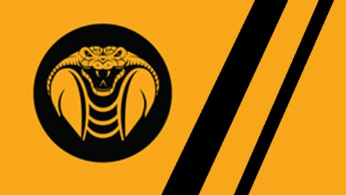 Cobra Clothing Temple of Clothing -Updated!-