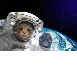 Space Obby
