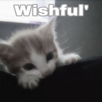 Wishful'
