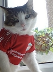 Liverpool fc crew