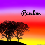 A RANDOM GROUP!