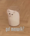 Cøøkies for life