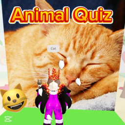 animal quiz
