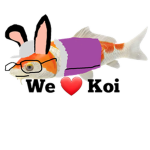 we love koi