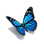 My Beautiful Butterflies!!