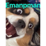 E has a group full of cool people