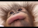 safe_break