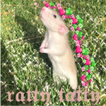 ratty tatty